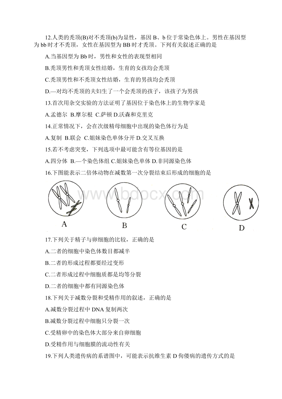 河北省邢台市学年高一生物下学期期末考试试题Word下载.docx_第3页