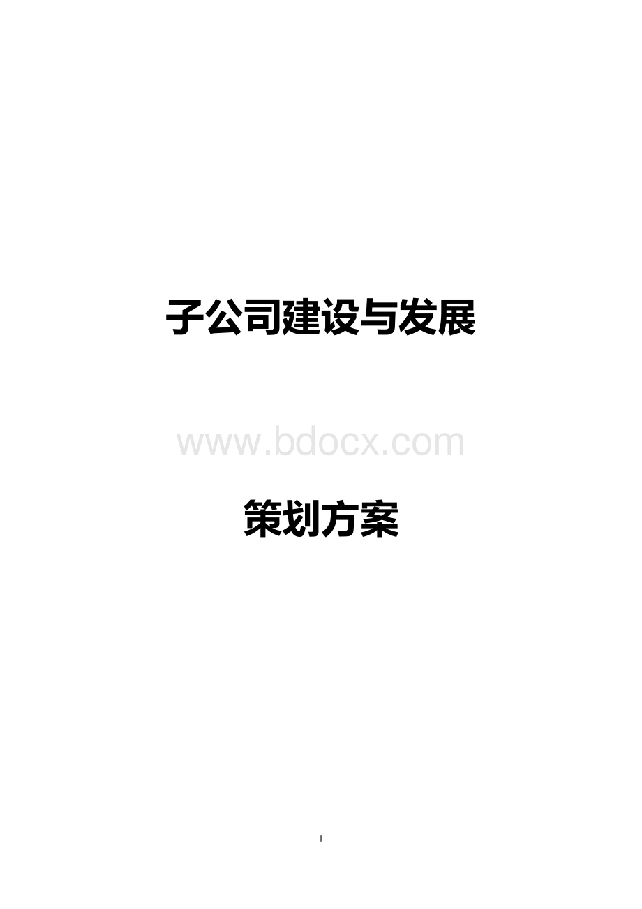 各地分公司招募策划书.doc