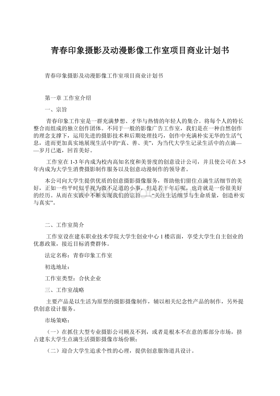 青春印象摄影及动漫影像工作室项目商业计划书文档格式.docx