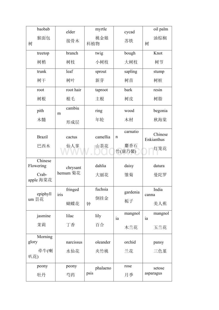 最新动植物的英语单词Word下载.docx_第3页