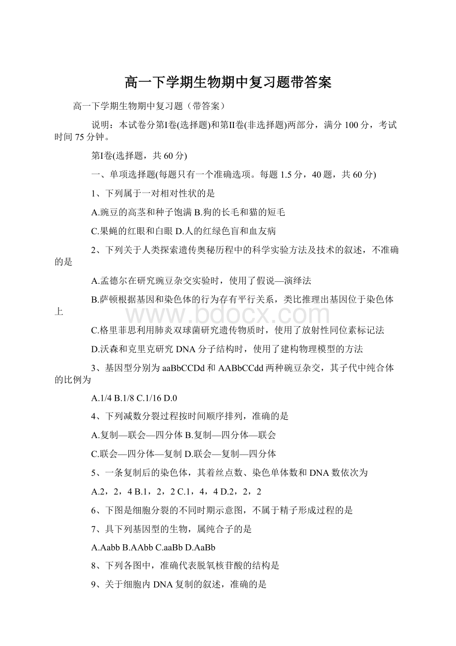 高一下学期生物期中复习题带答案Word文档格式.docx