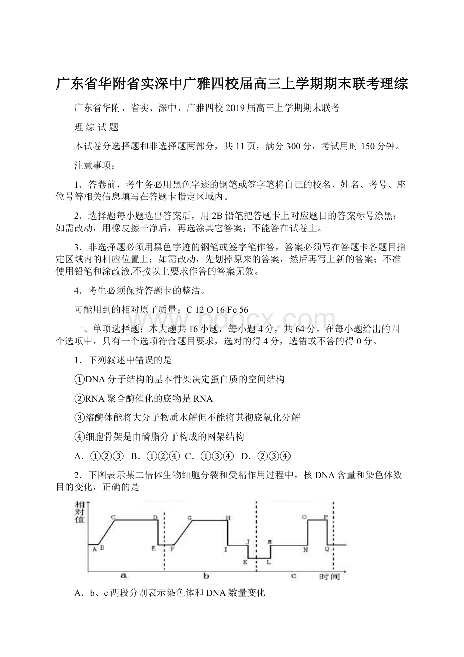 广东省华附省实深中广雅四校届高三上学期期末联考理综.docx