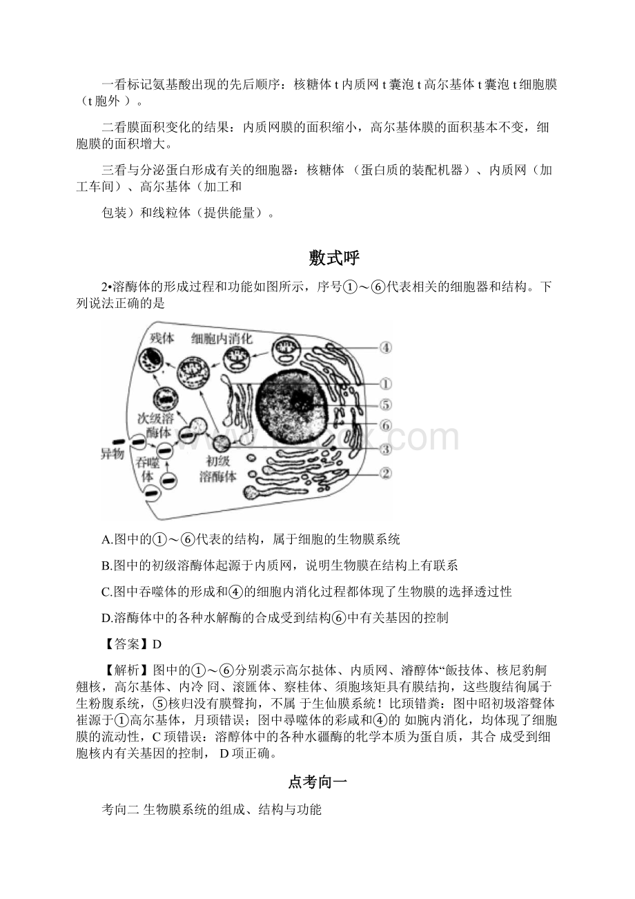 备战高考生物训练题考点一遍过专题11细胞的生物训练题膜系统.docx_第3页