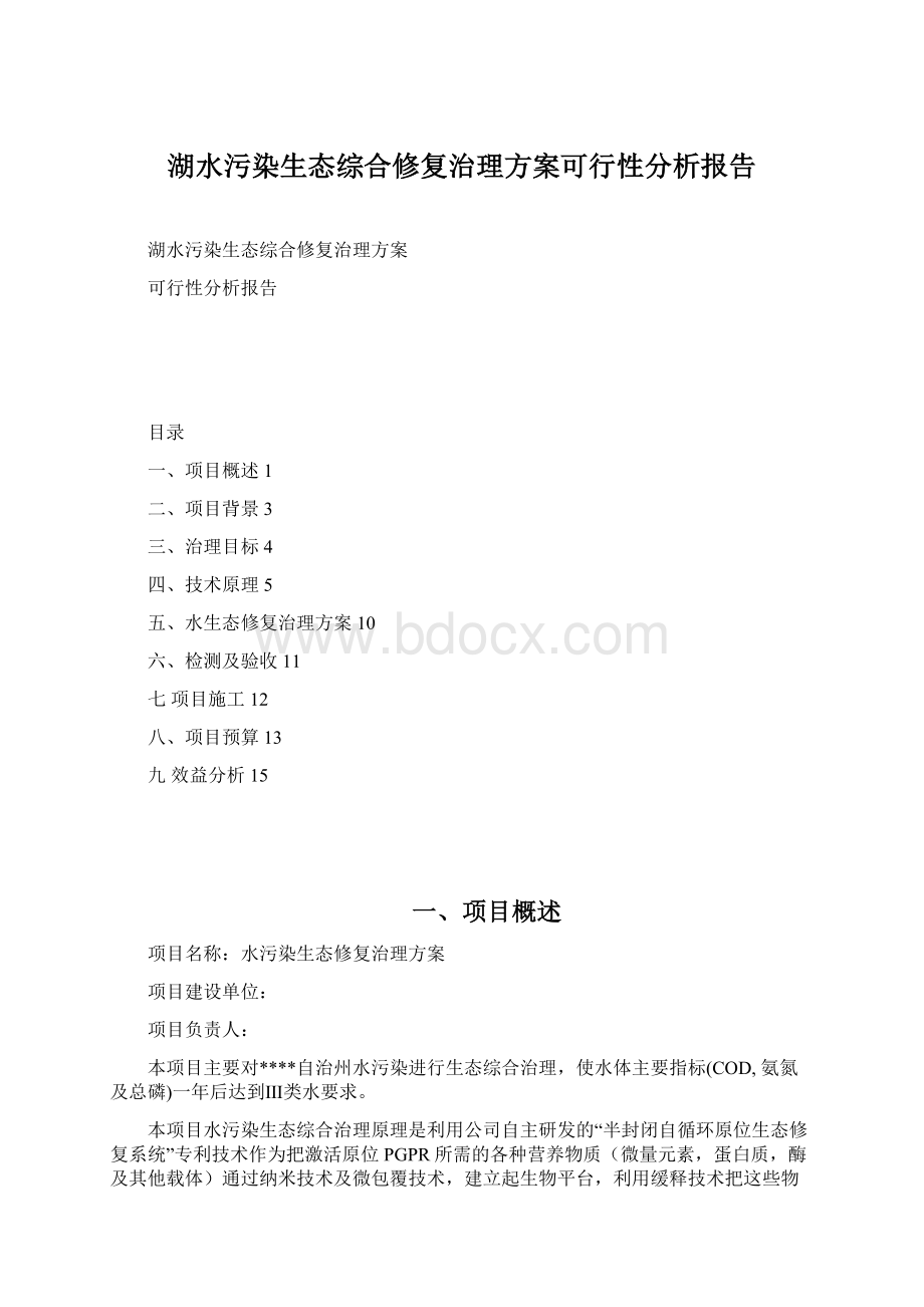 湖水污染生态综合修复治理方案可行性分析报告Word文档格式.docx