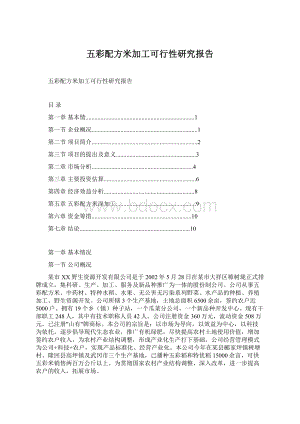 五彩配方米加工可行性研究报告Word文件下载.docx