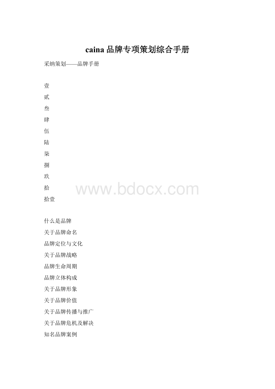 caina品牌专项策划综合手册Word格式.docx