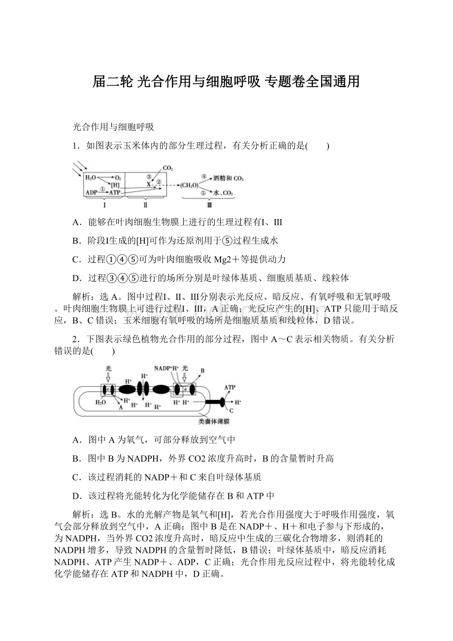 届二轮 光合作用与细胞呼吸 专题卷全国通用Word下载.docx