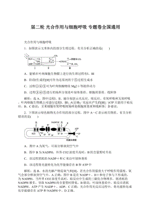 届二轮 光合作用与细胞呼吸 专题卷全国通用Word下载.docx