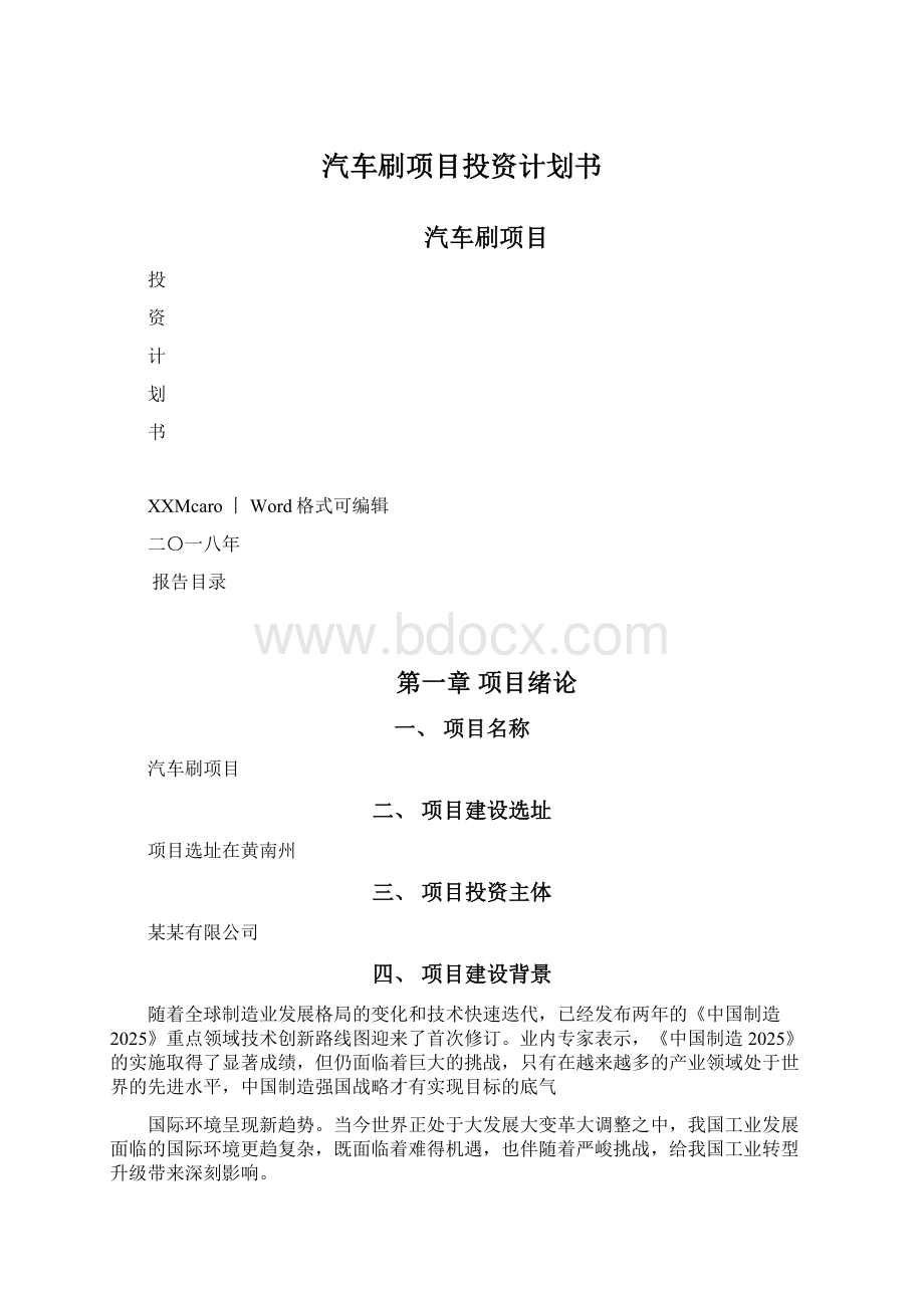 汽车刷项目投资计划书Word文档下载推荐.docx