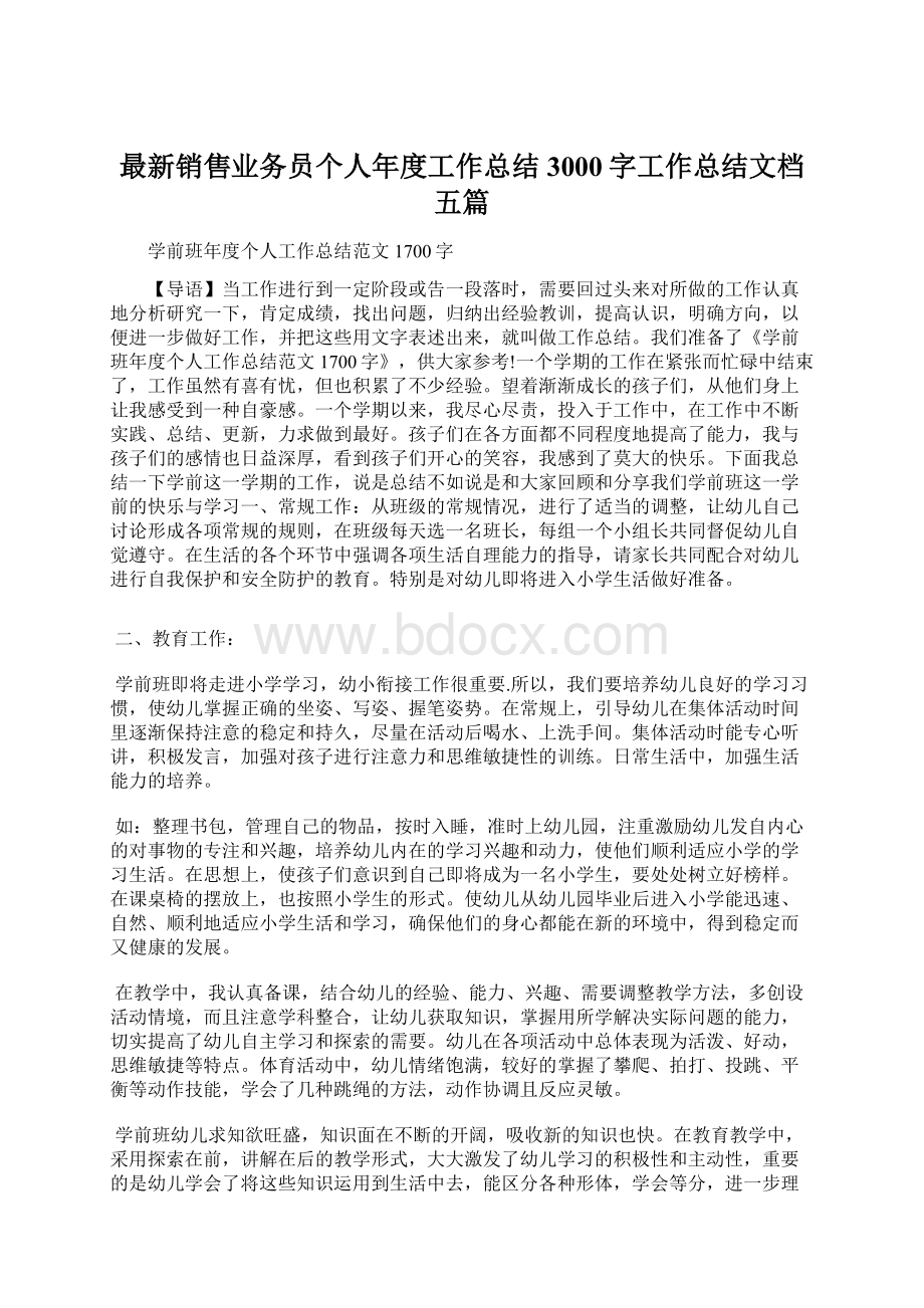 最新销售业务员个人年度工作总结3000字工作总结文档五篇Word下载.docx_第1页