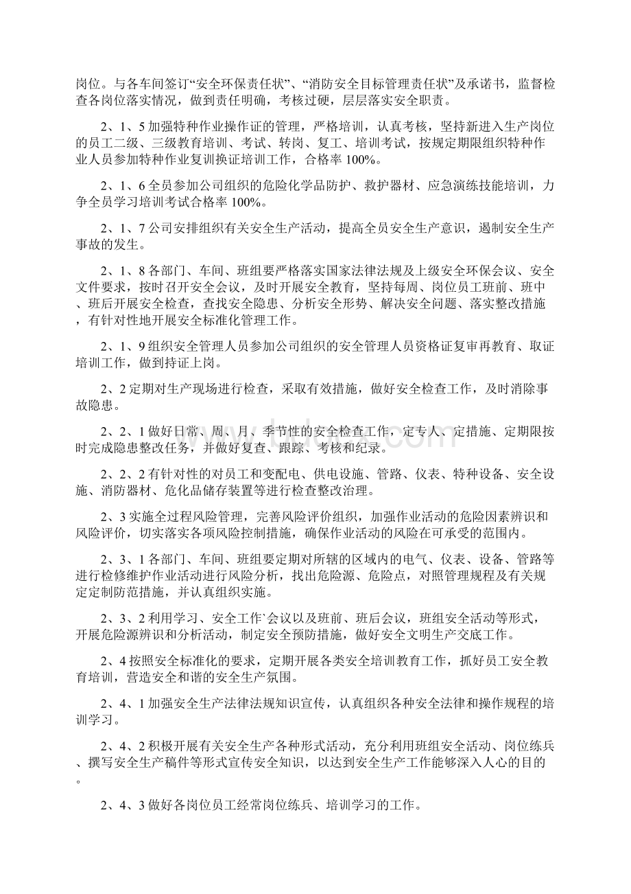 关于安全生产的工作计划和措施Word文件下载.docx_第2页