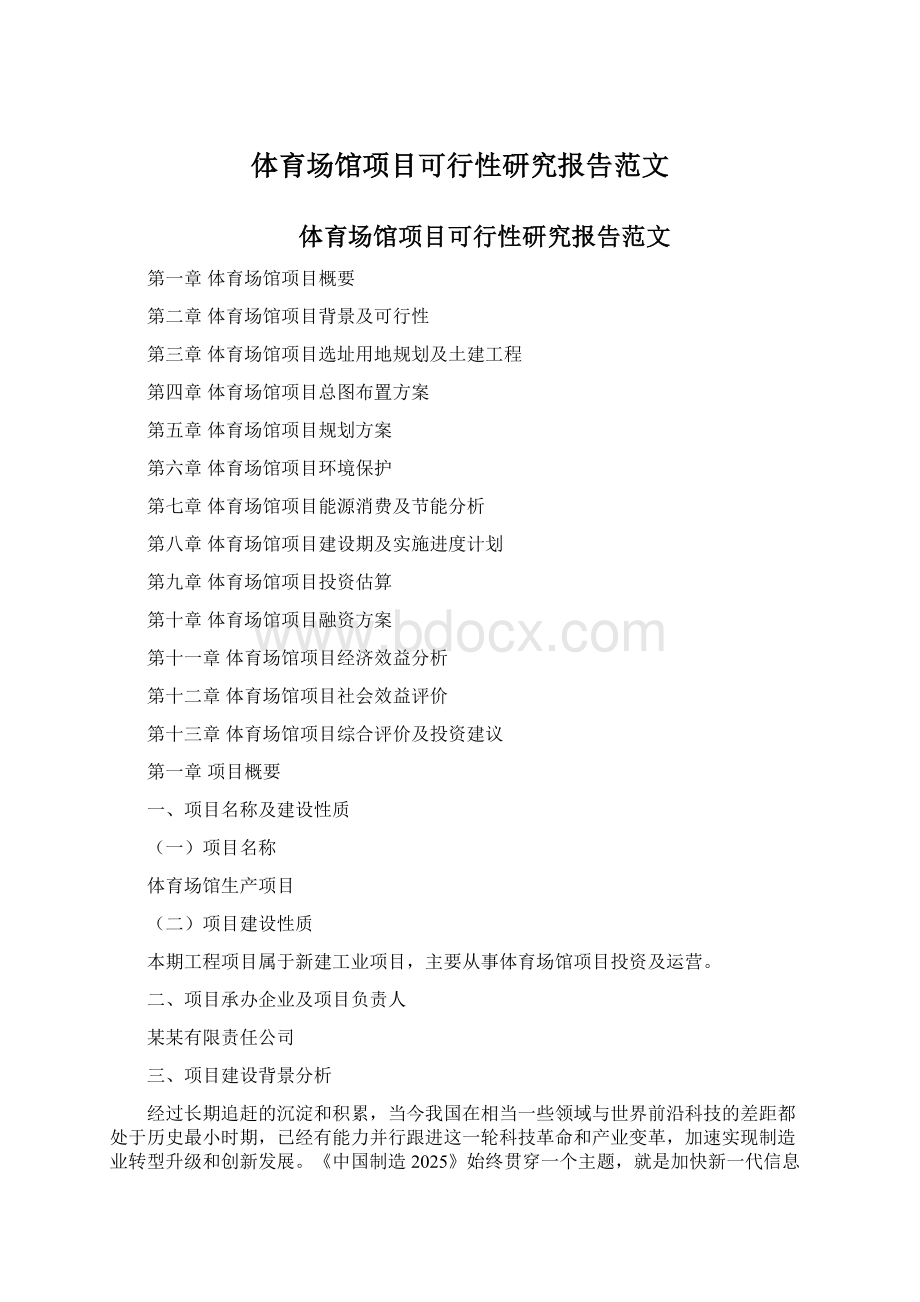 体育场馆项目可行性研究报告范文Word文档格式.docx