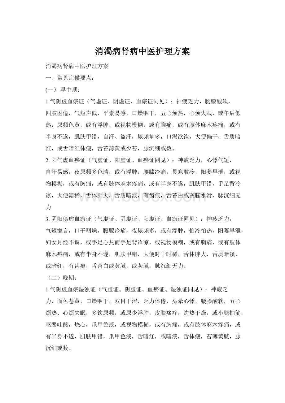 消渴病肾病中医护理方案.docx