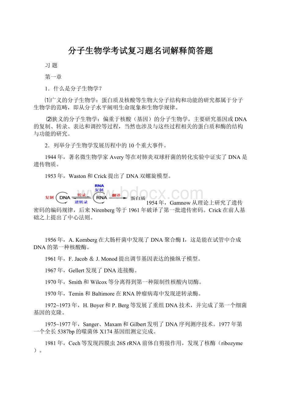 分子生物学考试复习题名词解释简答题.docx_第1页