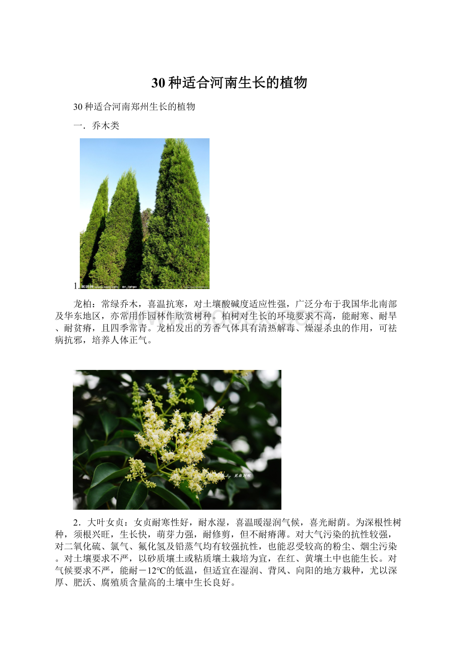 30种适合河南生长的植物.docx_第1页
