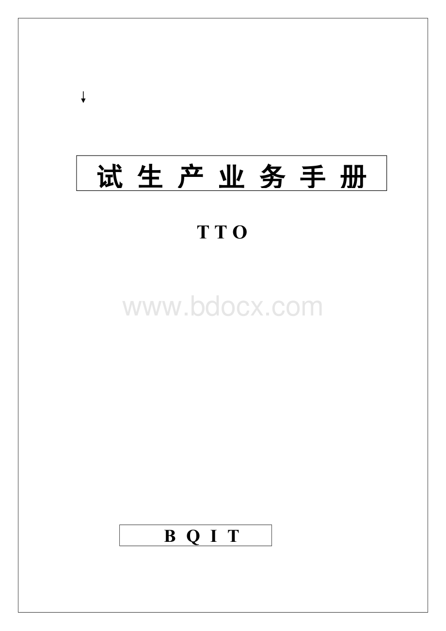 tt0试生产业务手册_.doc_第1页