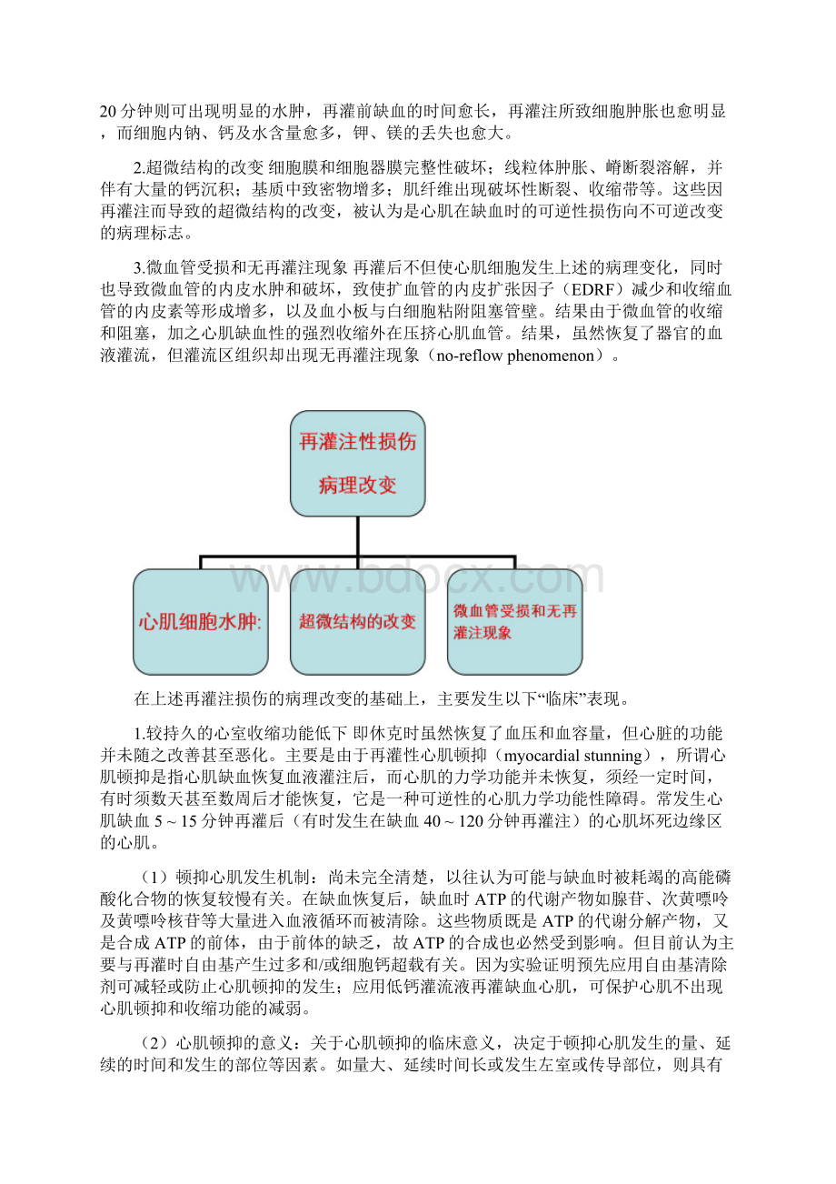 缺血再灌注损伤Word文件下载.docx_第2页