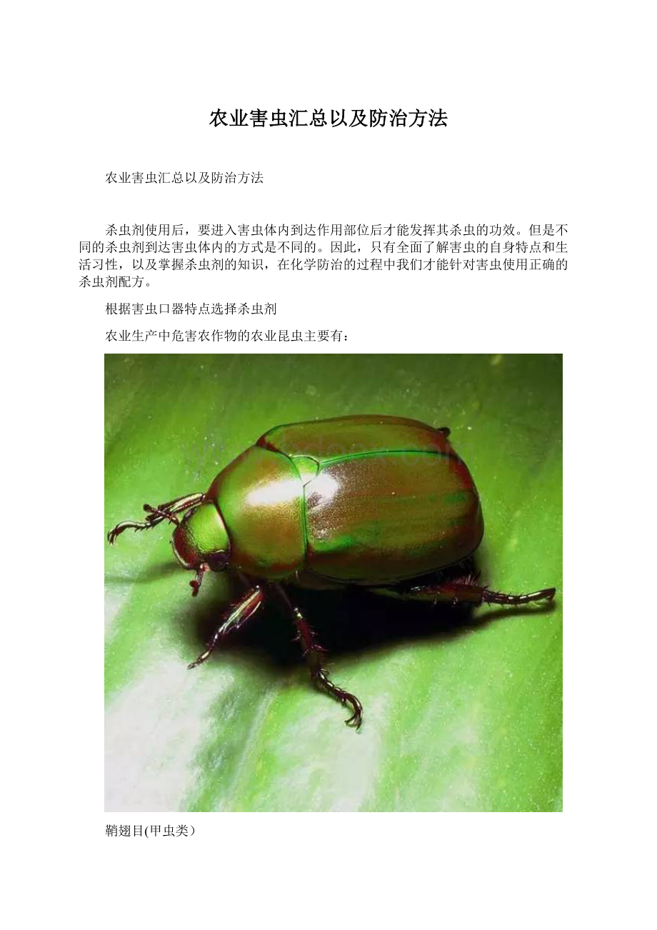 农业害虫汇总以及防治方法Word文件下载.docx_第1页