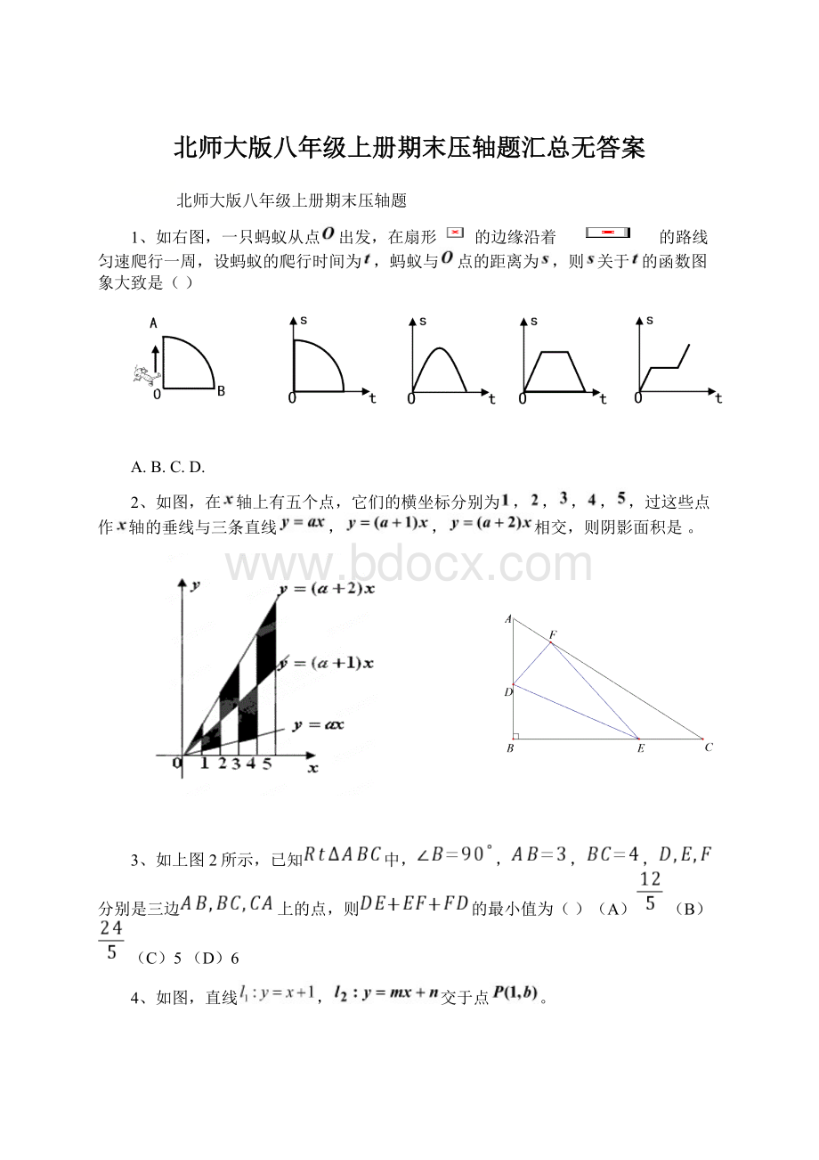 北师大版八年级上册期末压轴题汇总无答案Word文件下载.docx