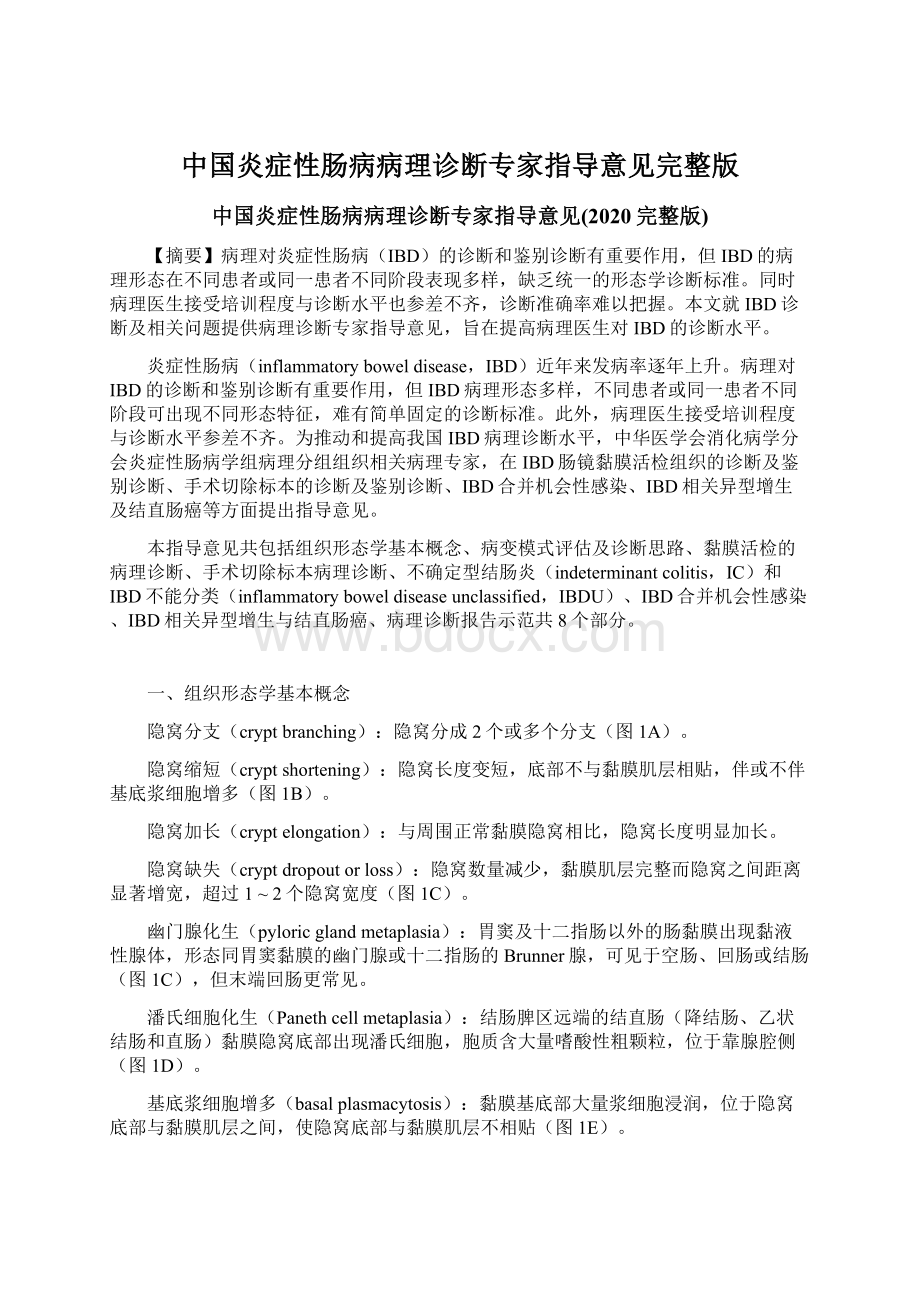 中国炎症性肠病病理诊断专家指导意见完整版.docx