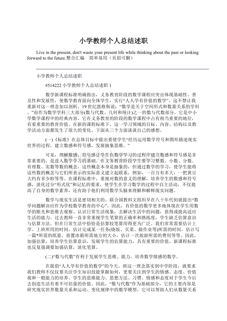 小学教师个人总结述职.docx_第1页