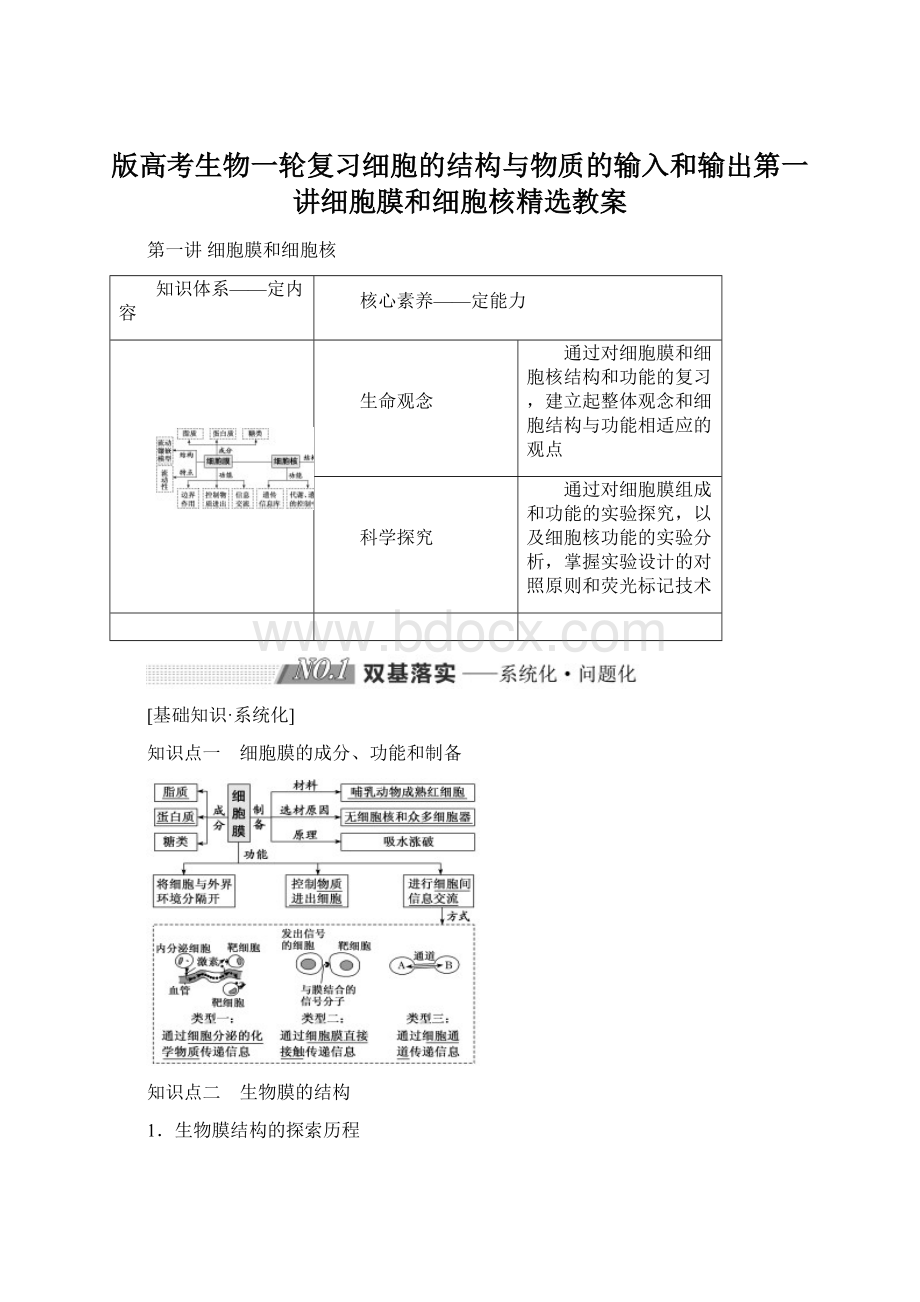 版高考生物一轮复习细胞的结构与物质的输入和输出第一讲细胞膜和细胞核精选教案Word文档下载推荐.docx