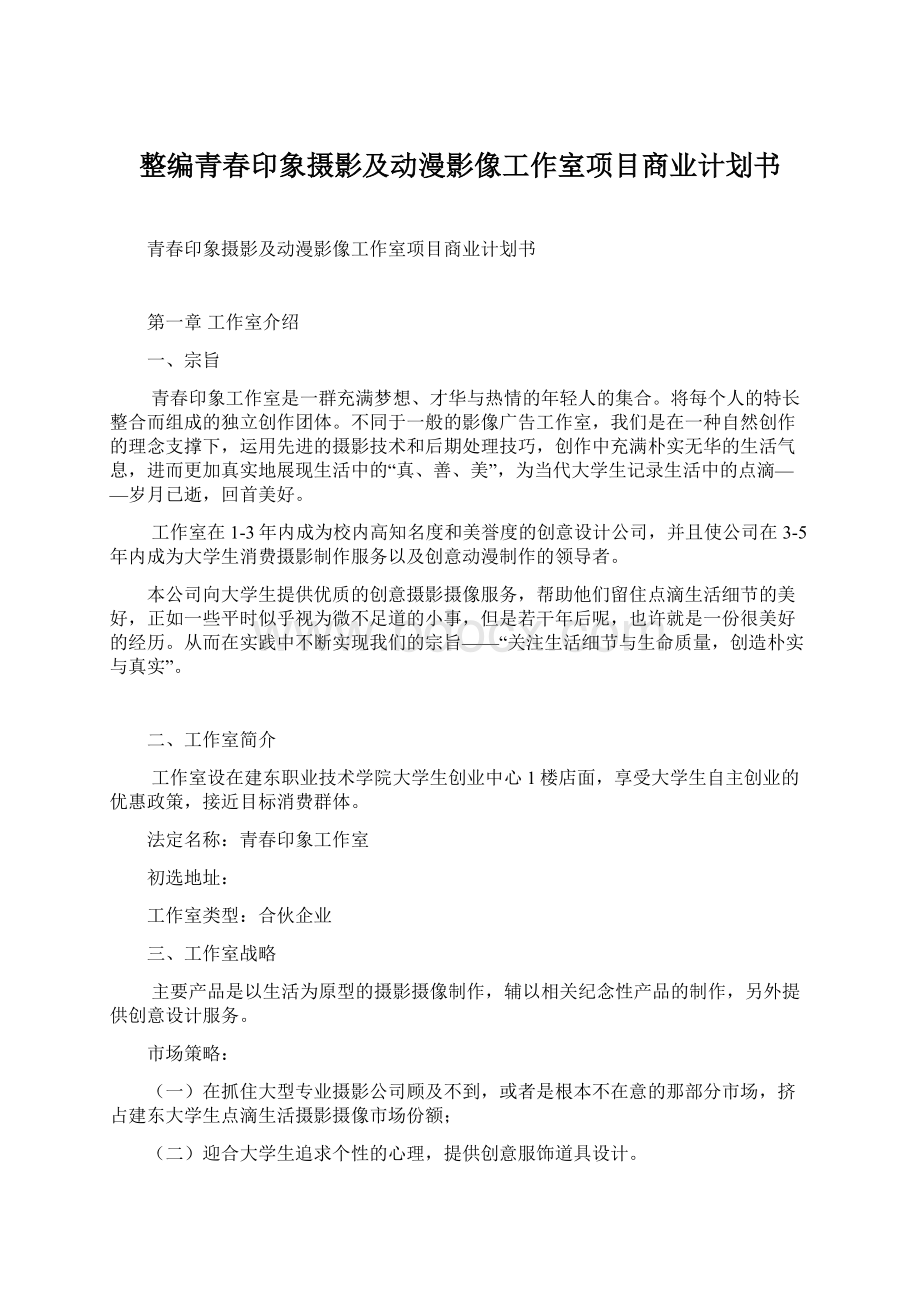 整编青春印象摄影及动漫影像工作室项目商业计划书.docx