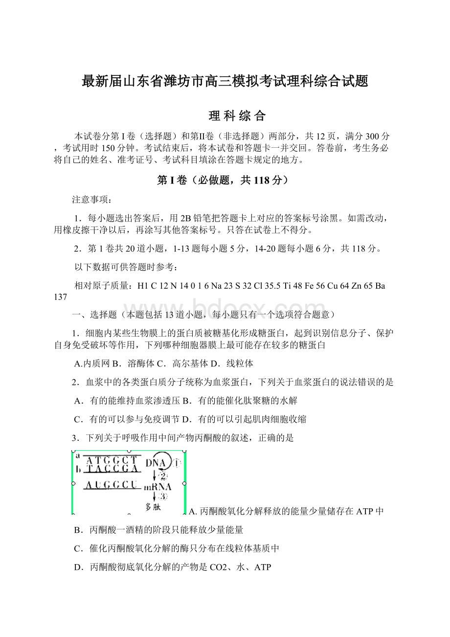 最新届山东省潍坊市高三模拟考试理科综合试题文档格式.docx