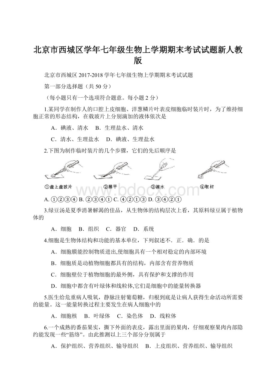 北京市西城区学年七年级生物上学期期末考试试题新人教版.docx