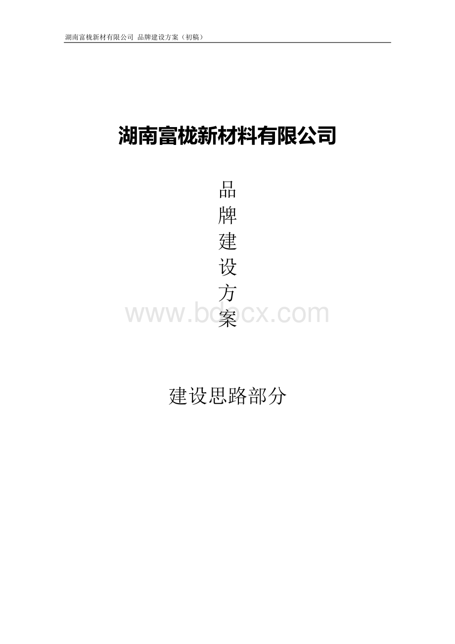 品牌建设方案.docx