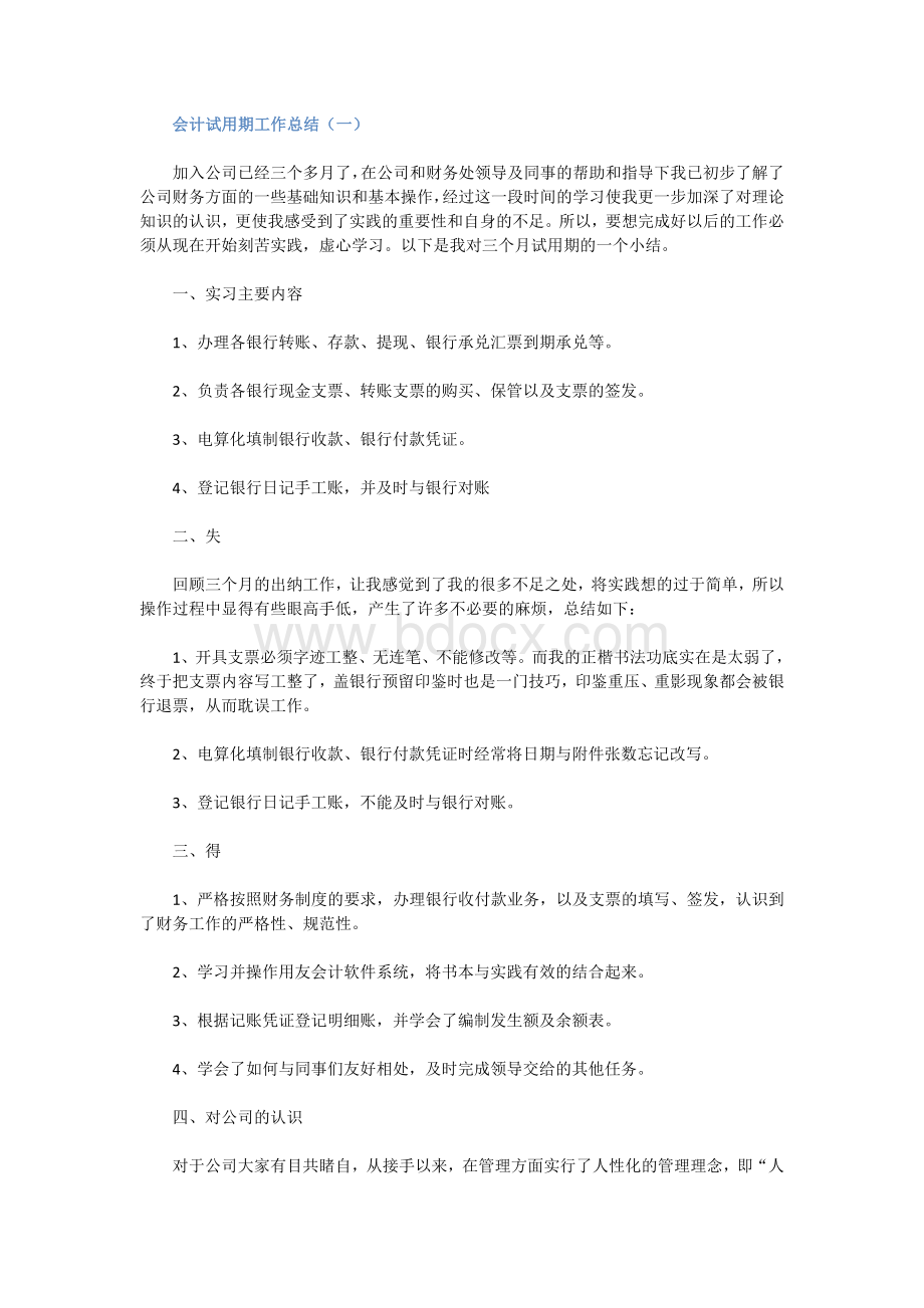 会计试用期工作总结文档格式.doc