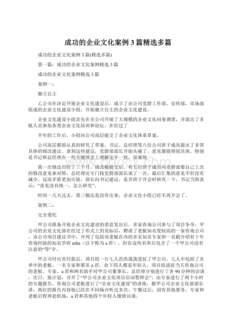 成功的企业文化案例3篇精选多篇文档格式.docx