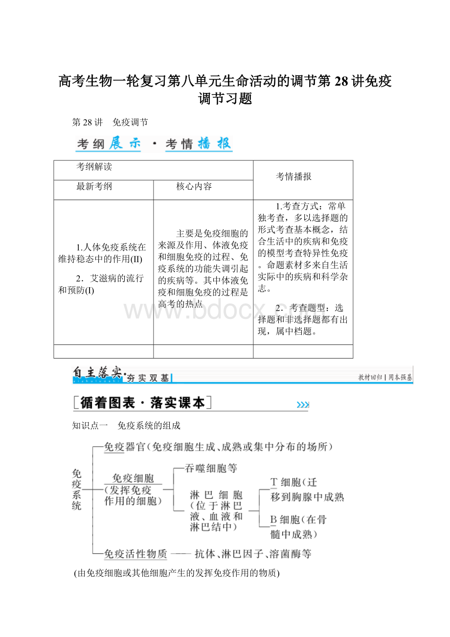 高考生物一轮复习第八单元生命活动的调节第28讲免疫调节习题Word文件下载.docx_第1页