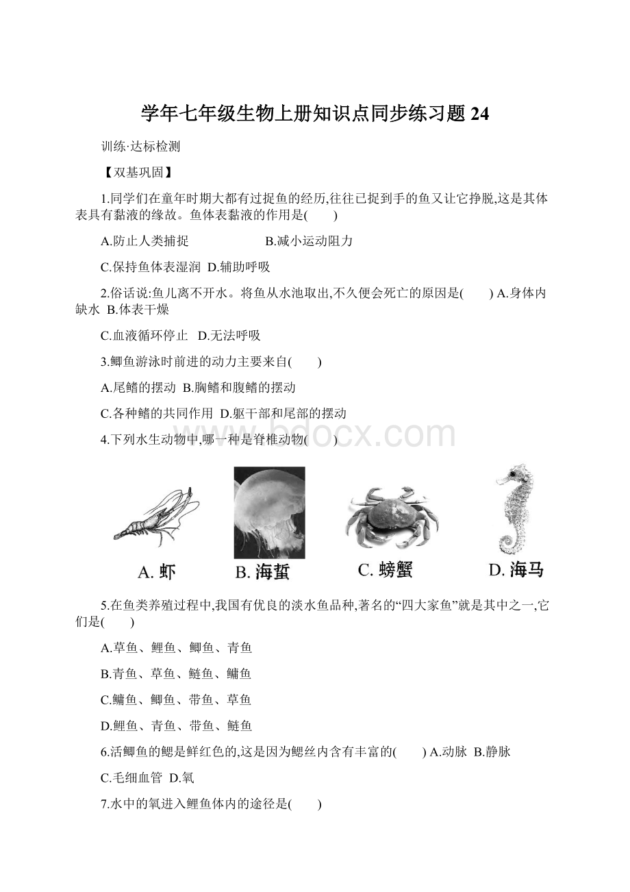 学年七年级生物上册知识点同步练习题24.docx