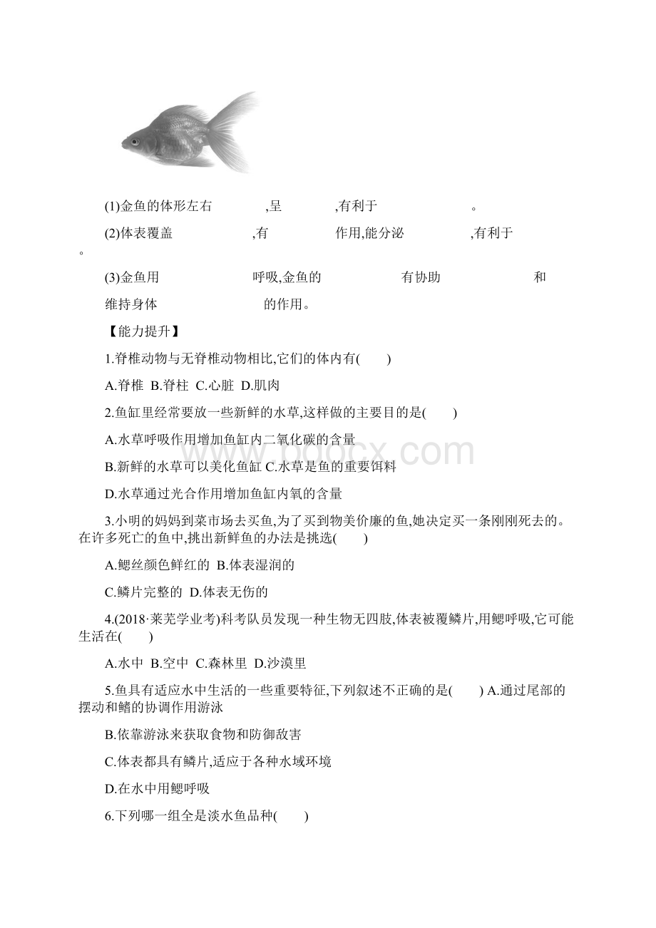 学年七年级生物上册知识点同步练习题24Word文档格式.docx_第3页