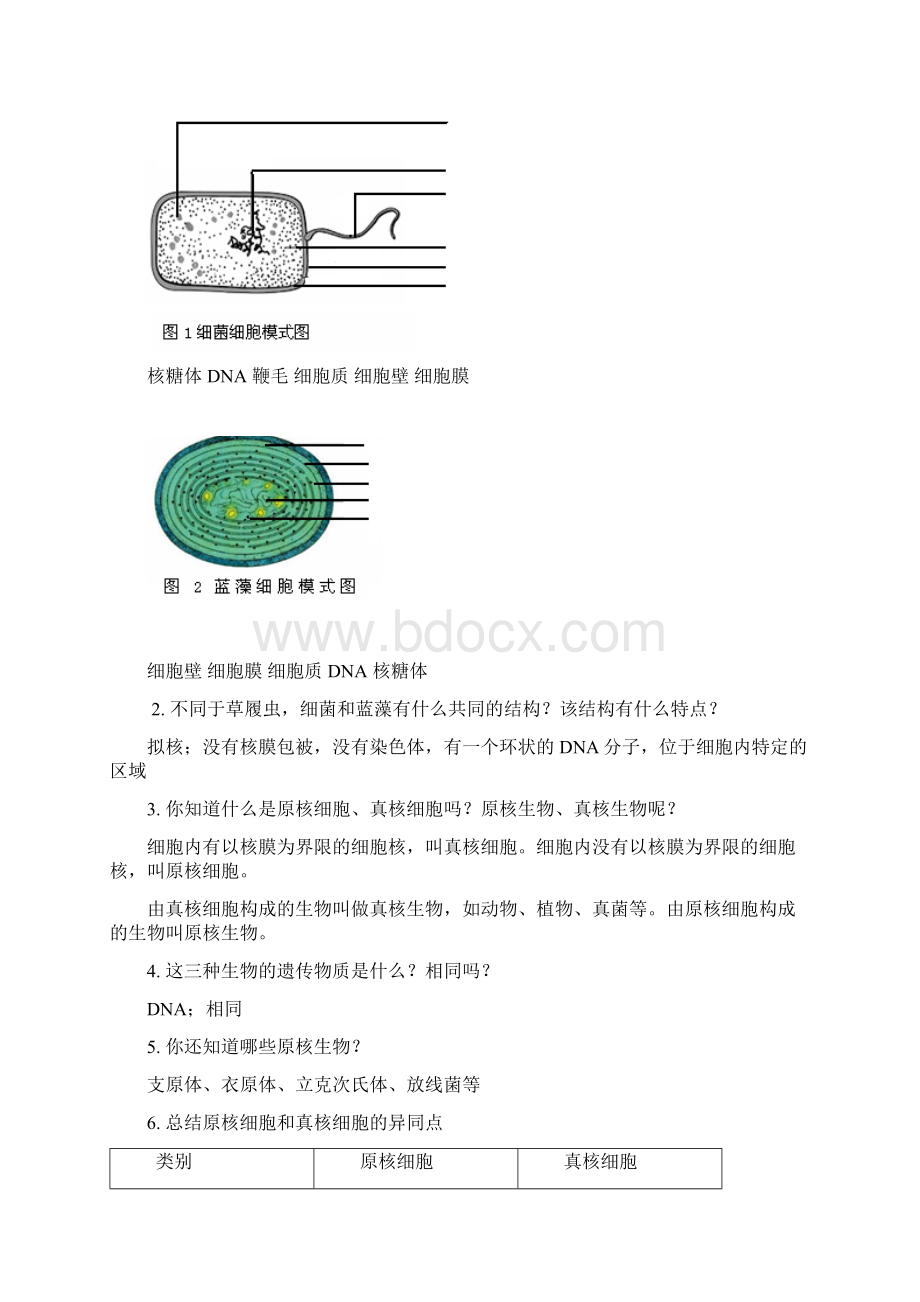 122细胞的多样性和统一性教案.docx_第2页