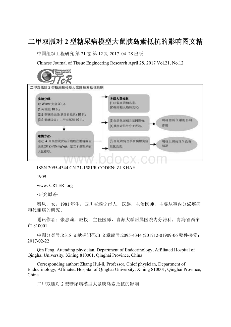 二甲双胍对2型糖尿病模型大鼠胰岛素抵抗的影响图文精Word格式文档下载.docx