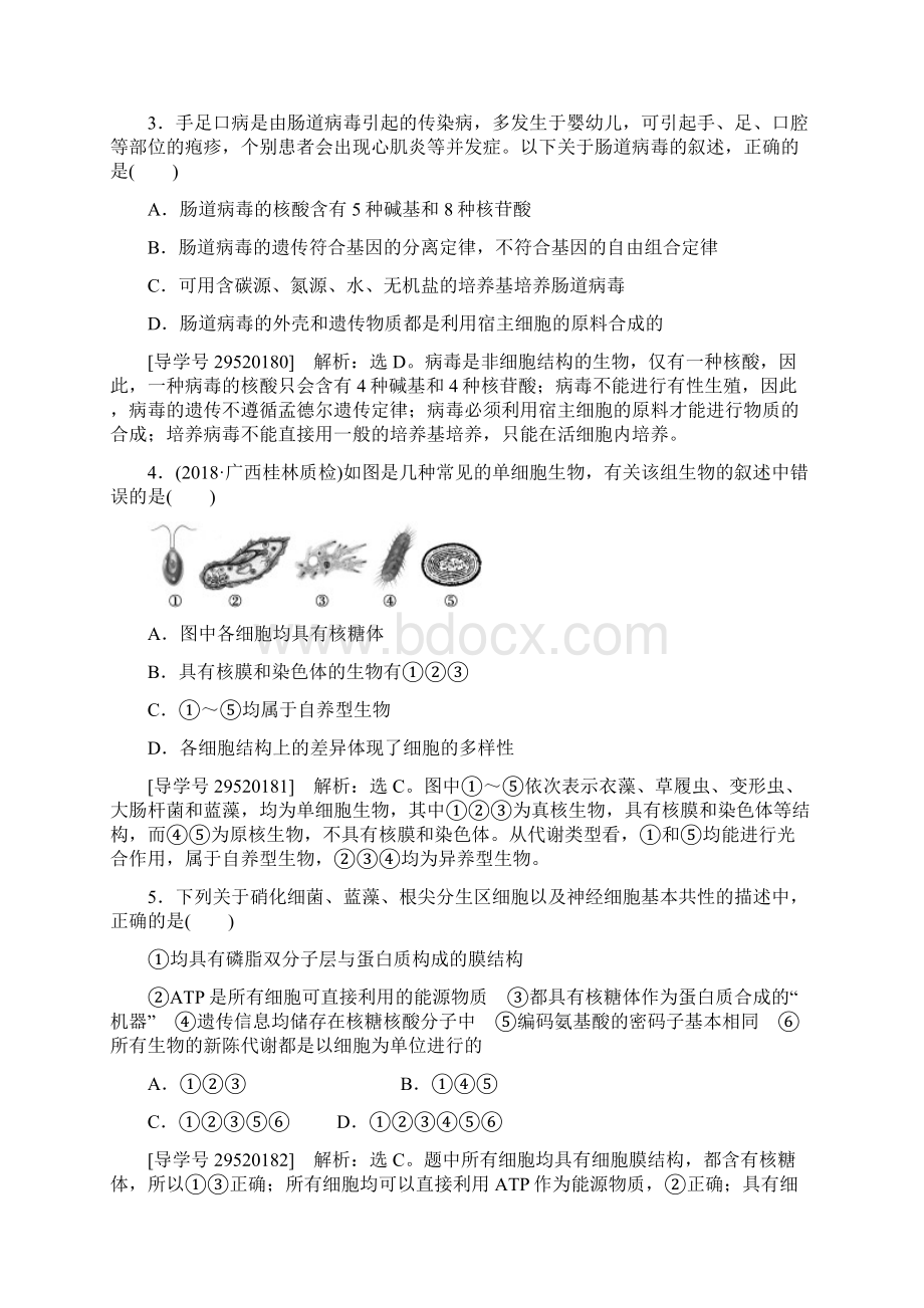 届高考生物综合能力突破复习训练9.docx_第2页