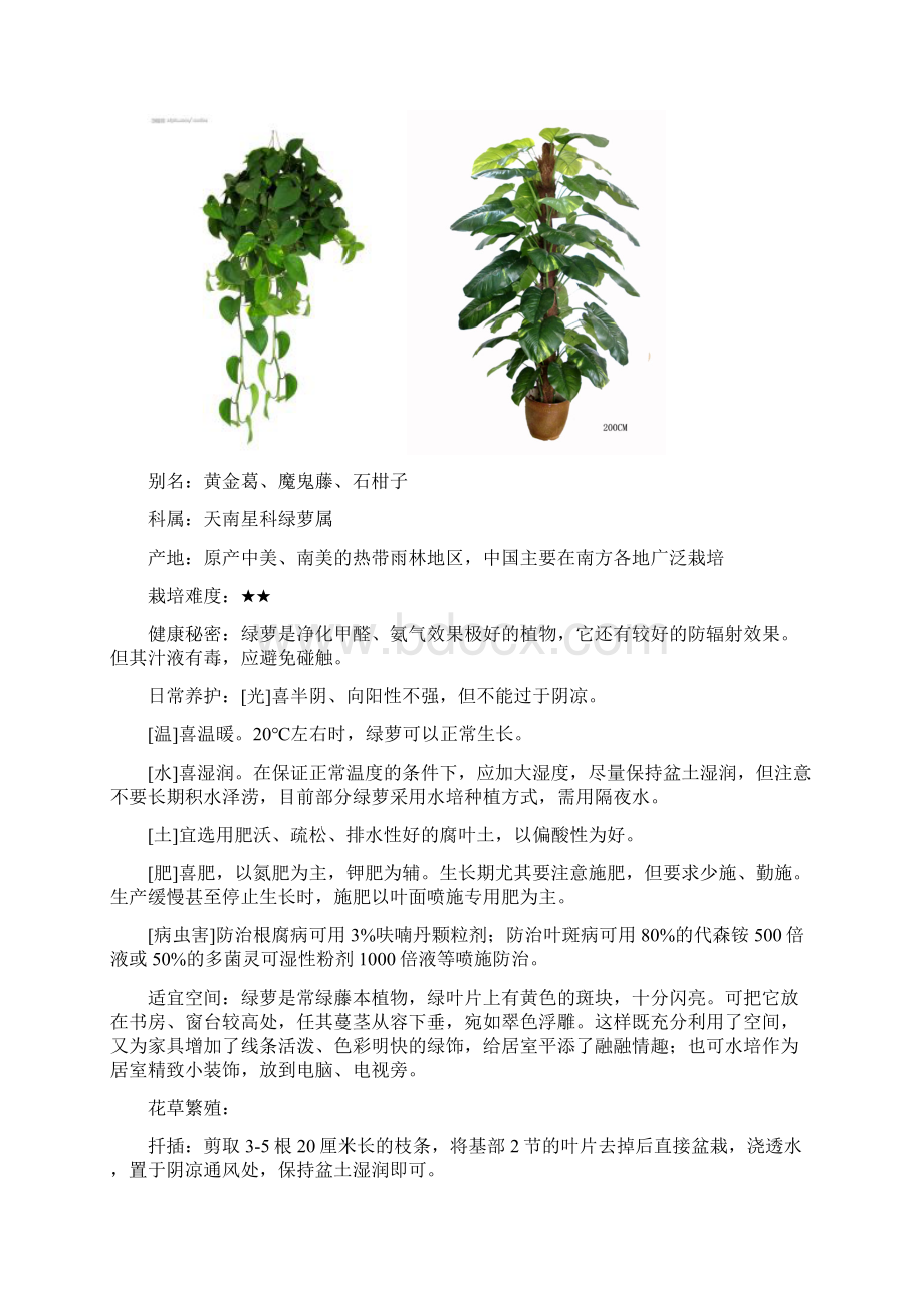 常见家养花草科普知识文档格式.docx_第3页