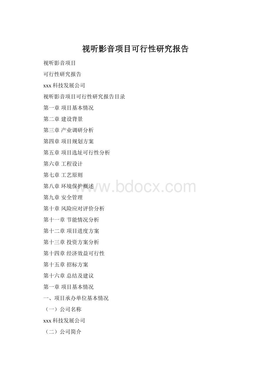 视听影音项目可行性研究报告Word文档格式.docx