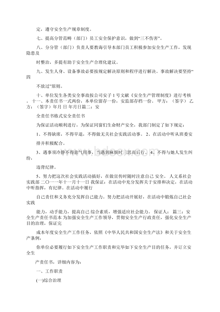 安全作文之安全事故责任说明书模板.docx_第2页