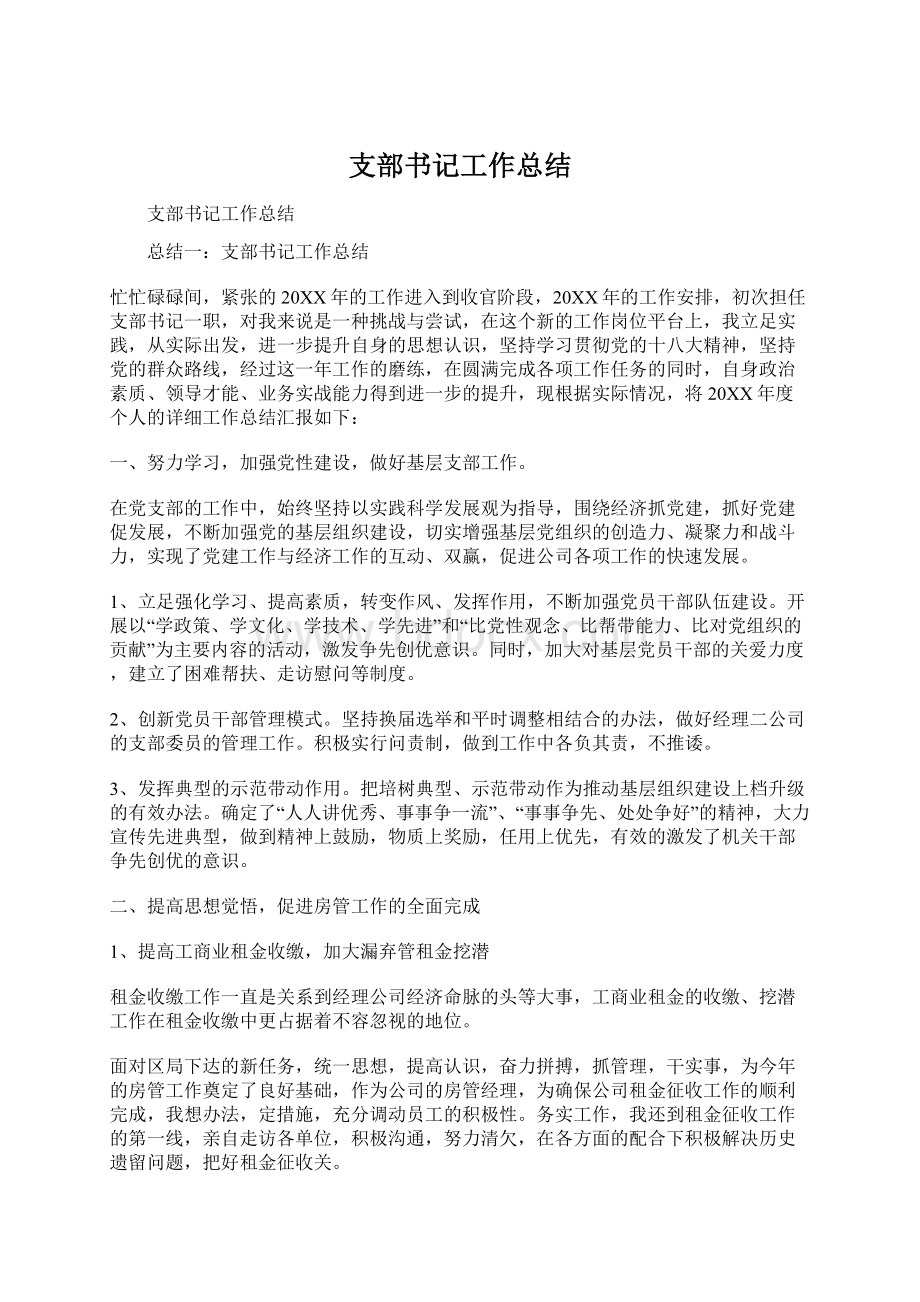 支部书记工作总结Word格式.docx