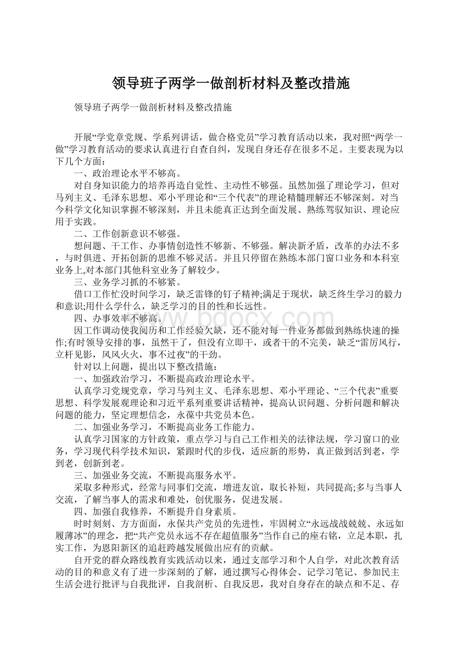 领导班子两学一做剖析材料及整改措施.docx