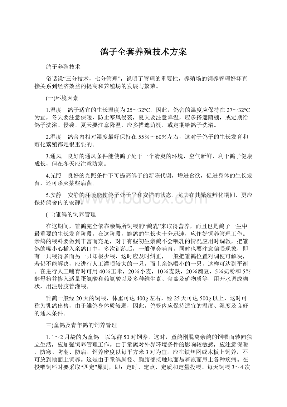 鸽子全套养殖技术方案Word格式.docx