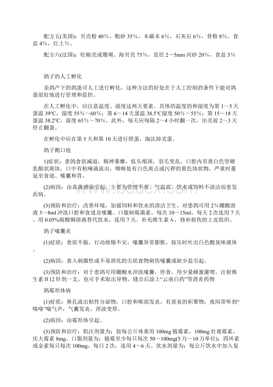 鸽子全套养殖技术方案.docx_第3页