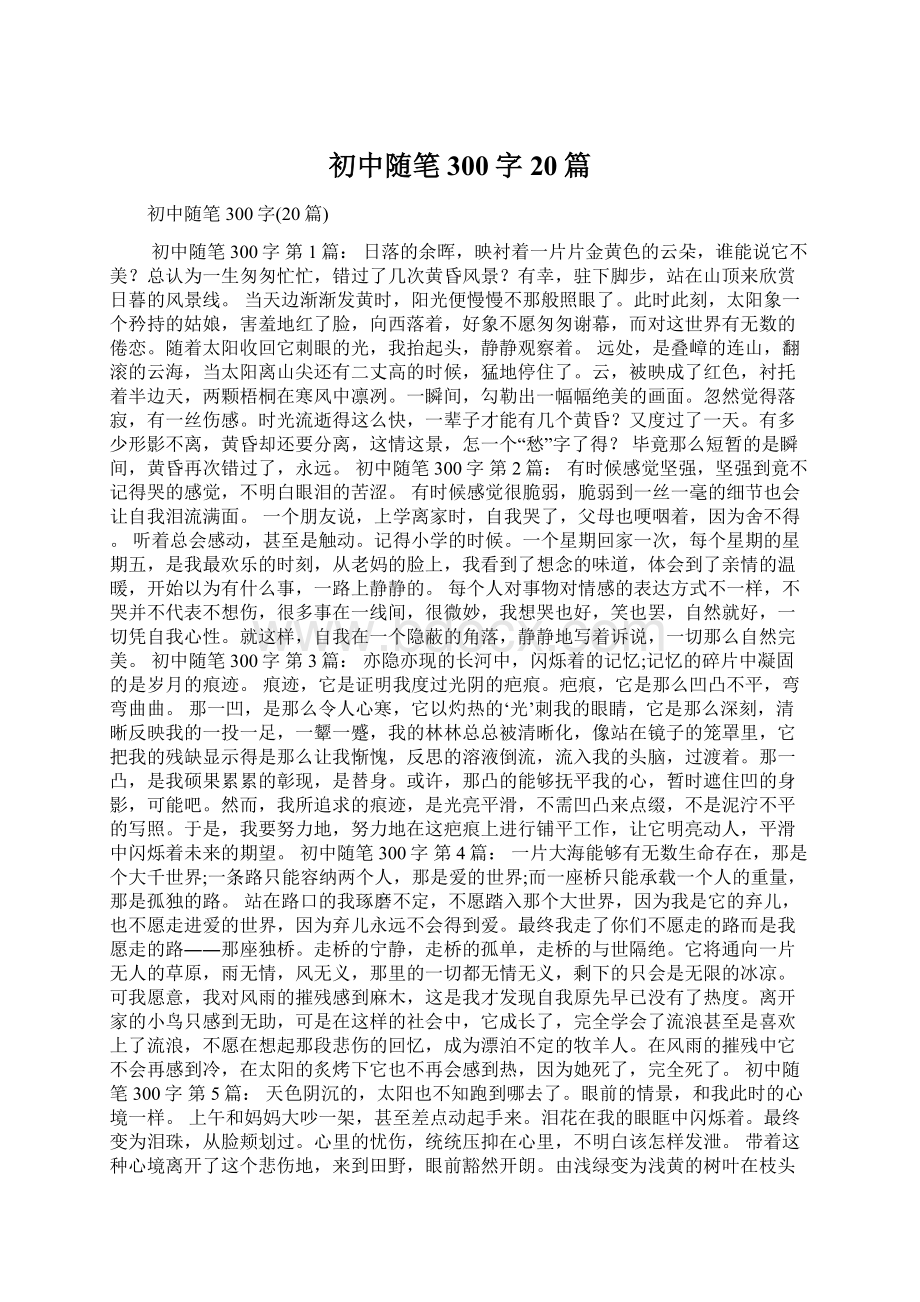 初中随笔300字20篇.docx