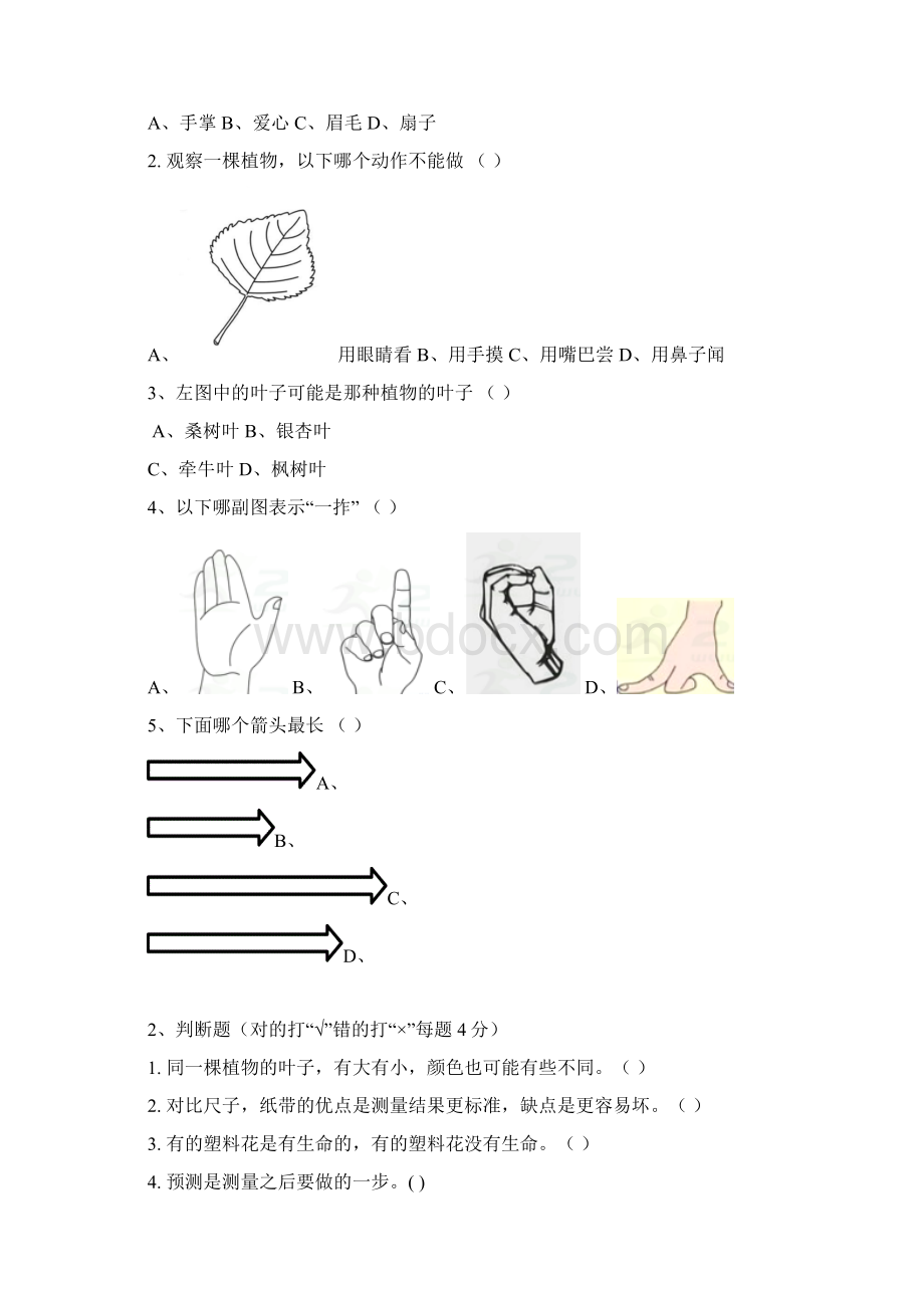 最新科学一年级上册期末测试题.docx_第2页