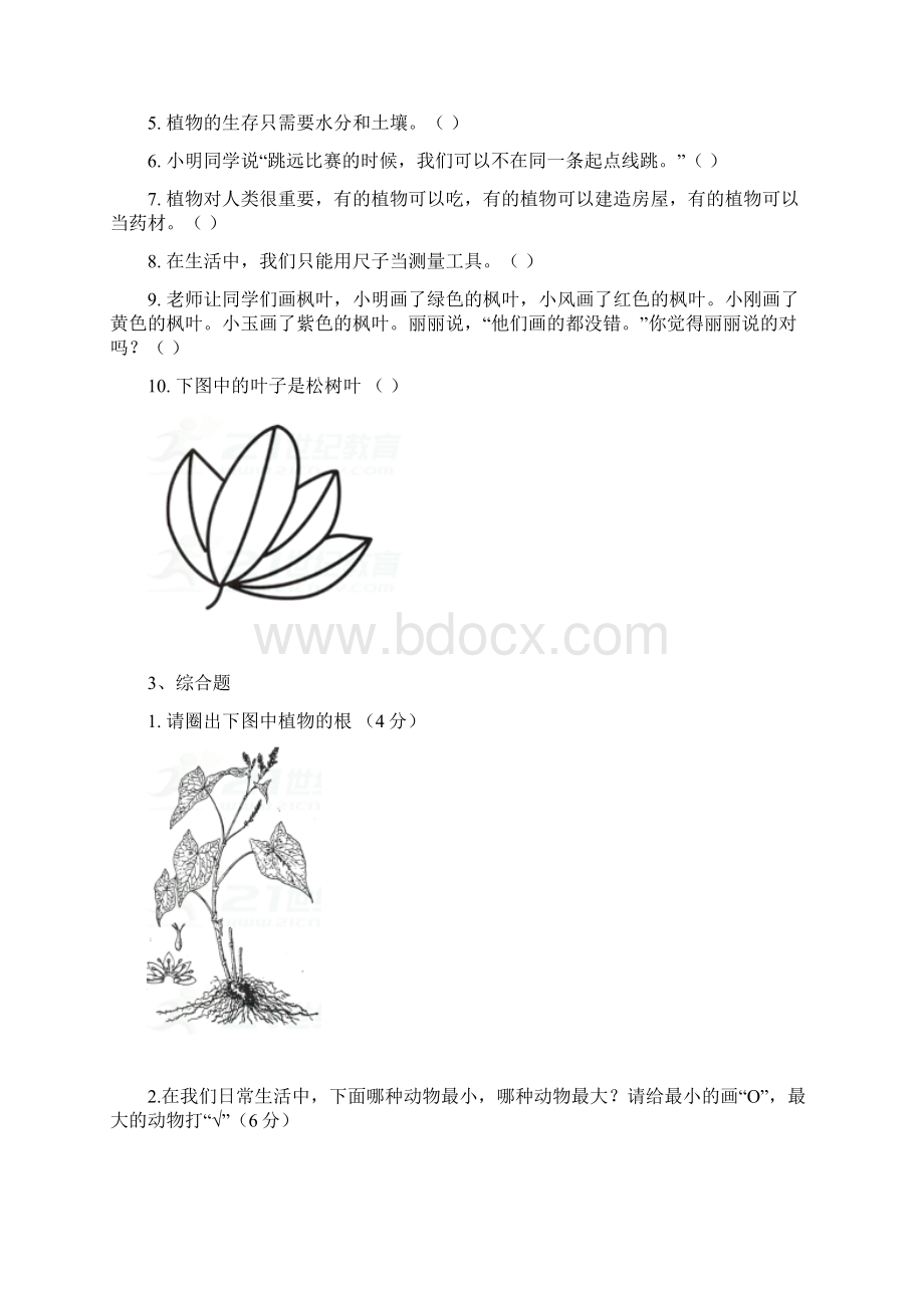 最新科学一年级上册期末测试题.docx_第3页