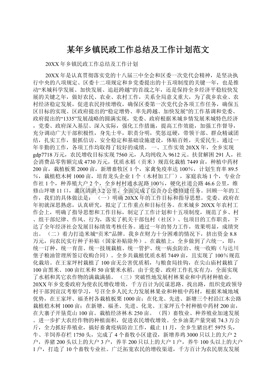 某年乡镇民政工作总结及工作计划范文Word格式.docx