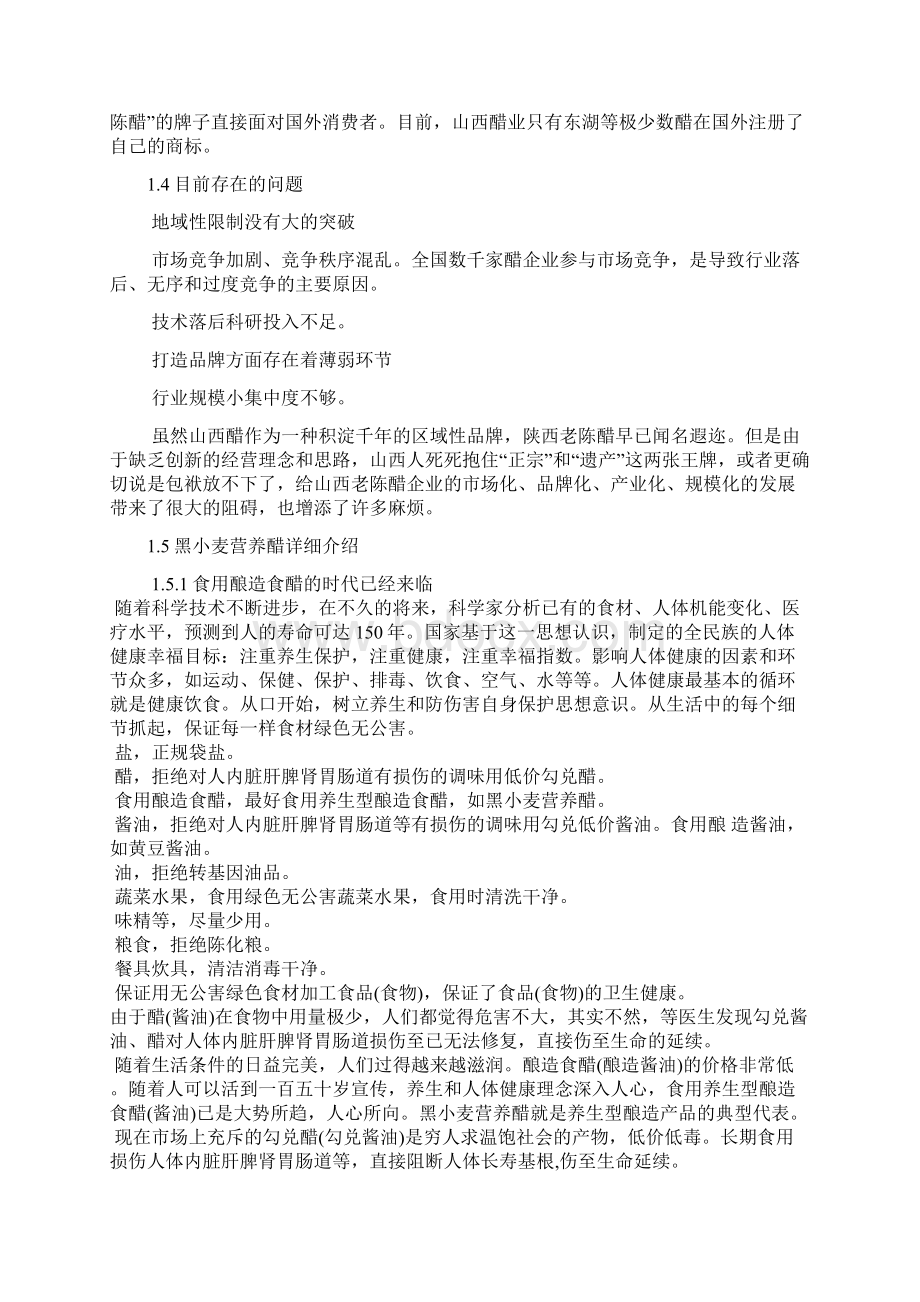 终稿食醋行业电子商务平台建设运营项目商业计划书Word格式.docx_第2页